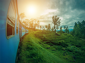 Cheap flights from Kiev Ukraine  to Colombo - Sri Lanka for only 362 EUR roundtrip.